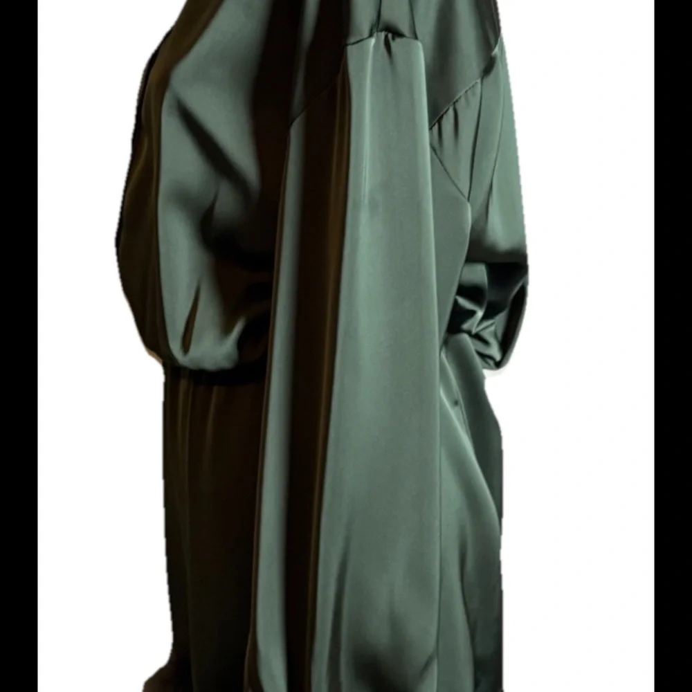Cider Green Satin Dress with Fur Trim - Picture 7 of 8
